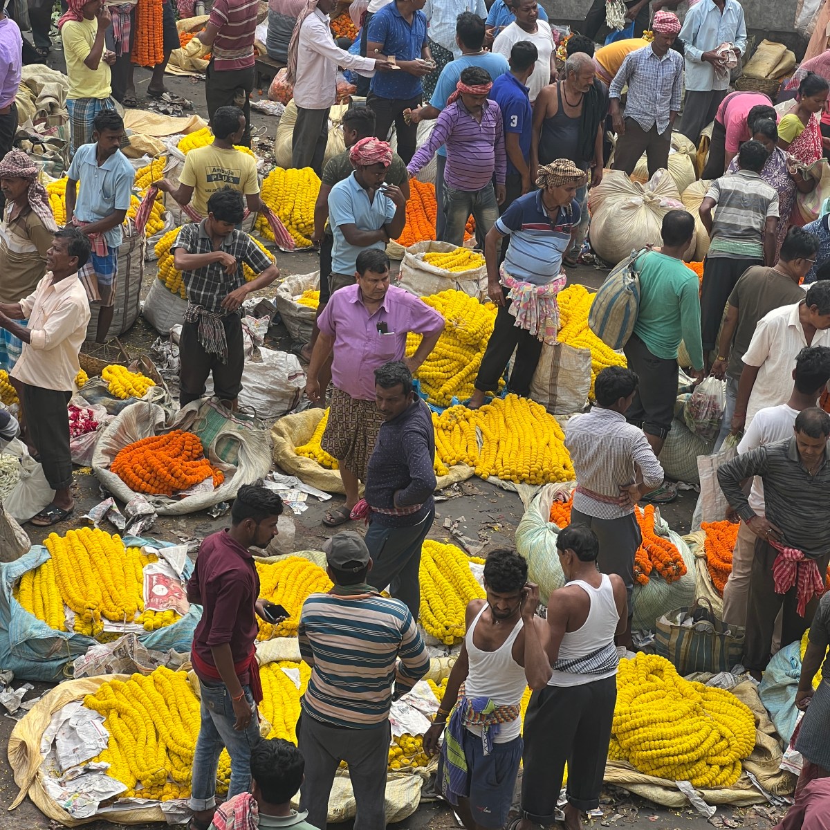 Calcutta: dove il cemento profuma di gelsomino 