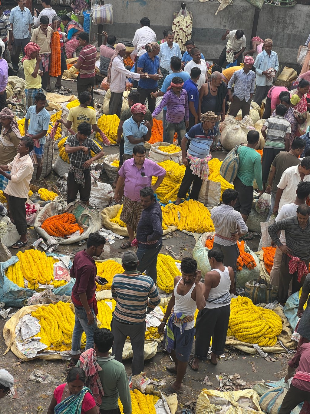 Calcutta: dove il cemento profuma di gelsomino 